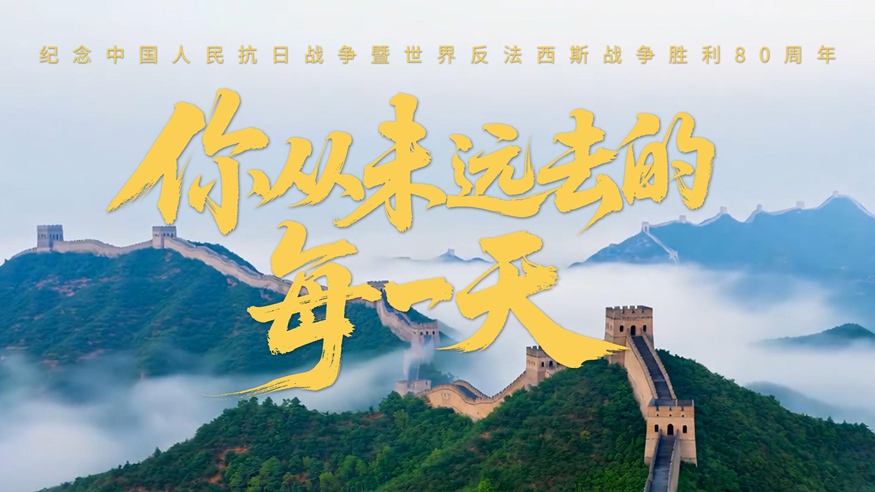 你从未远去的每一天