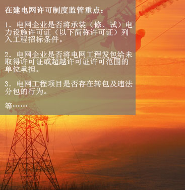 八、在建電網(wǎng)工程項目許可制度執(zhí)行情況