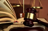 抓害群之馬，助金融改革一臂之力
