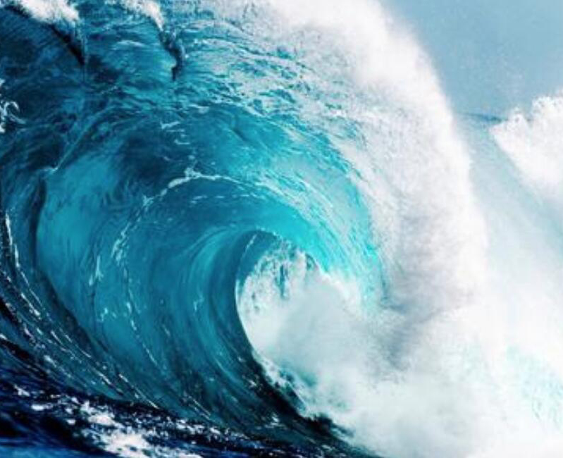 【財經(jīng)翻譯官】浪奔、浪流
