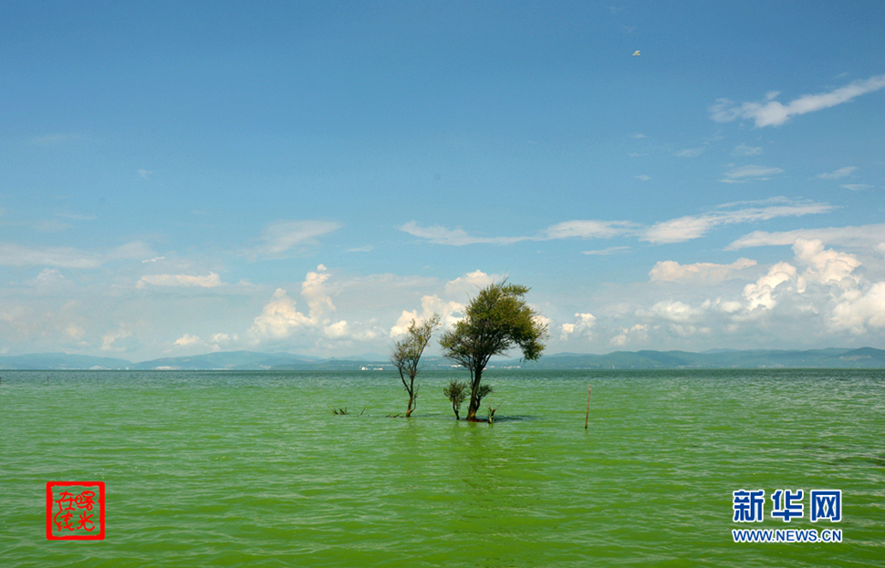 陽光昆明，爽爽的春城