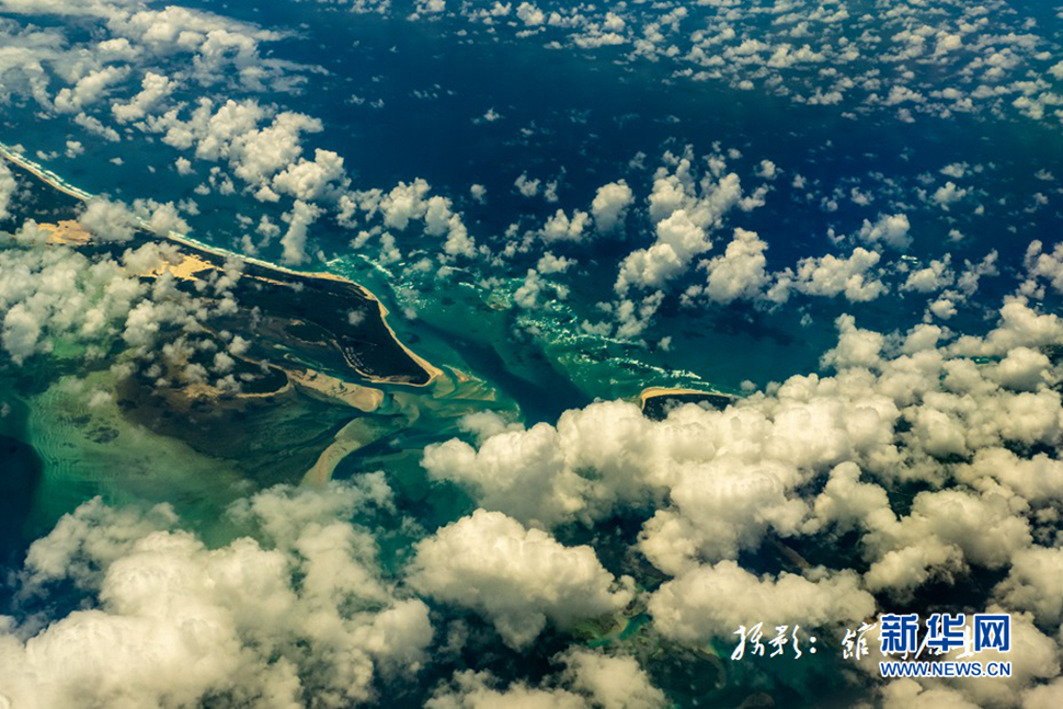 飛躍太平洋，跨越秋與春