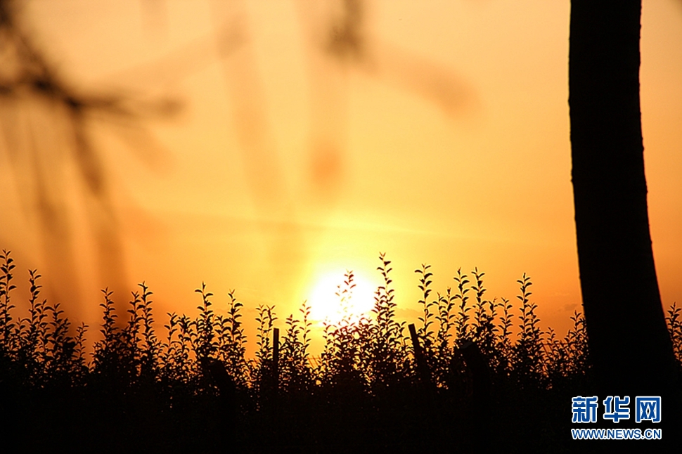 日落西山頭，人約黃昏后