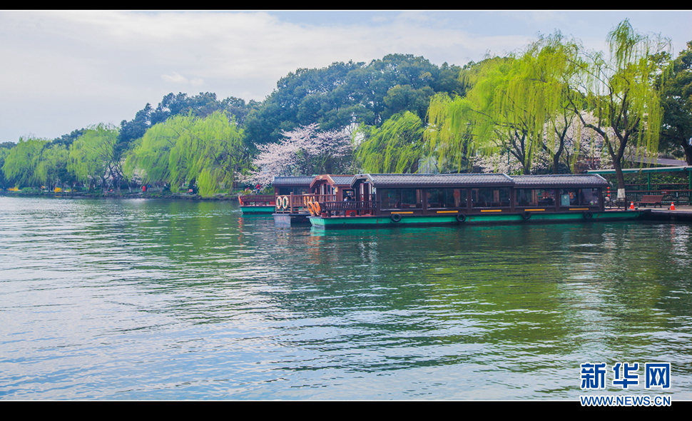 聽風西湖柳，聞香龍井茶