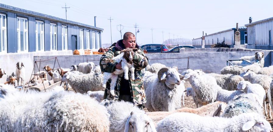 易地搬遷讓村民“住得好、能致富”
