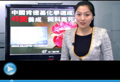 權(quán)威聲音：“快時代”究竟還有什么可以速成？