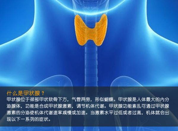 關(guān)注甲狀腺健康，你應(yīng)該知道的那些事