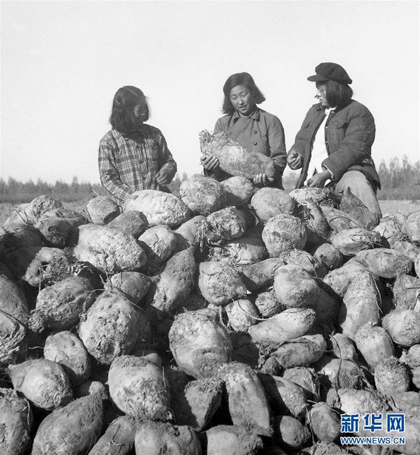 （圖文互動）（2）為了“中國號”巨輪揚帆遠航——中國共產(chǎn)黨領(lǐng)導(dǎo)下的人民軍隊忠于祖國、服務(wù)人民啟示錄