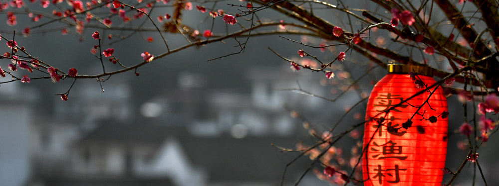 春來花開，綻放正當(dāng)時(shí)