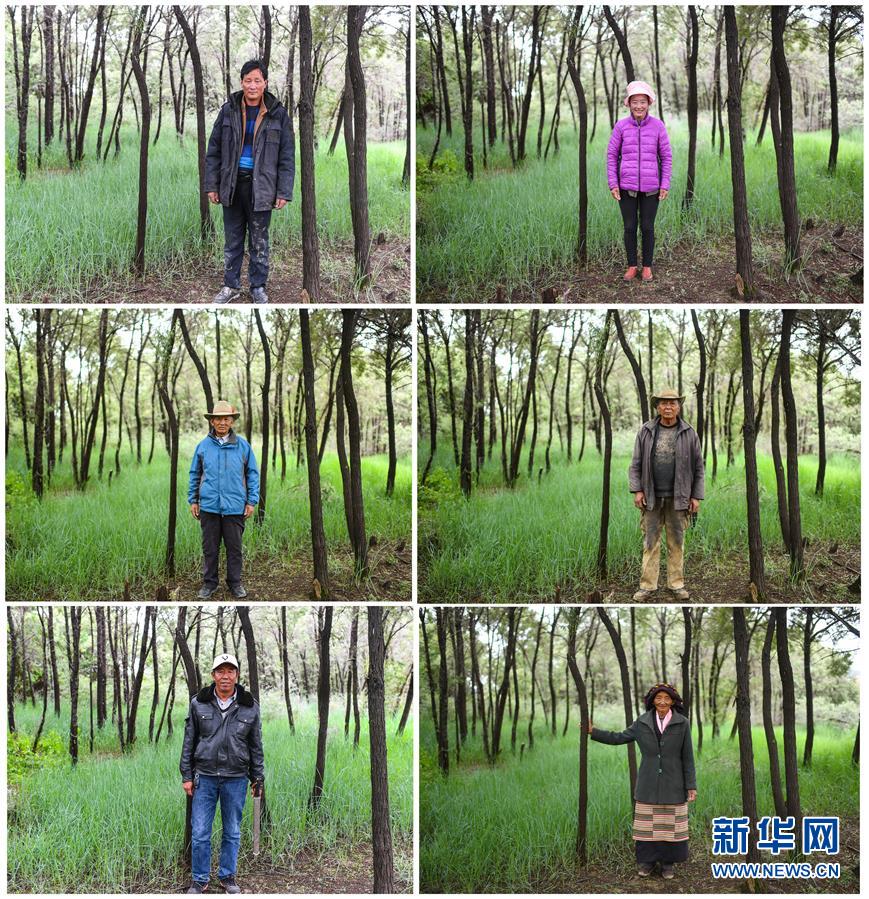 （十九大·讀報(bào)告 話民生）（9）加快生態(tài)文明體制改革，建設(shè)美麗中國(guó)