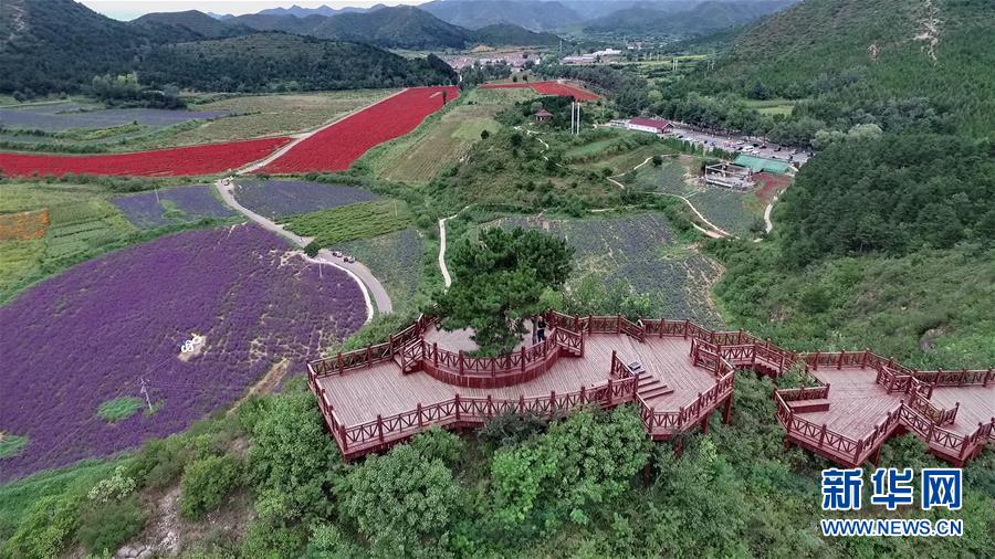 （十九大·讀報告 話民生）（10）加快生態(tài)文明體制改革，建設美麗中國