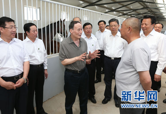 這是7月3日，王岐山在錫林浩特市義合良種馬繁育基地考察。新華社記者 龐興雷 攝