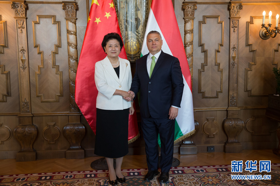  6月21日，國務(wù)院副總理劉延?xùn)|（左）在匈牙利布達(dá)佩斯國會大廈會見匈牙利總理歐爾班。 新華社發(fā)（弗爾季·奧蒂洛攝）