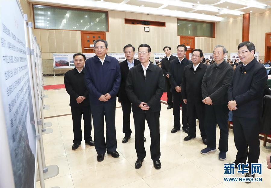 1月9日至10日，國務(wù)院副總理張高麗在安徽調(diào)研推動長江經(jīng)濟(jì)帶發(fā)展工作。這是1月10日，張高麗主持召開推動長江經(jīng)濟(jì)帶發(fā)展工作會議前聽取介紹。新華社記者 龐興雷 攝