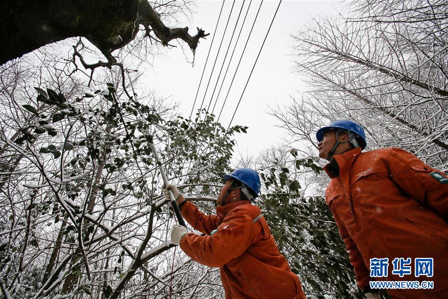 （新華全媒頭條）（8）雨雪冰凍中，他們奮力前行——基層黨員干群抗擊冰雪災害紀實
