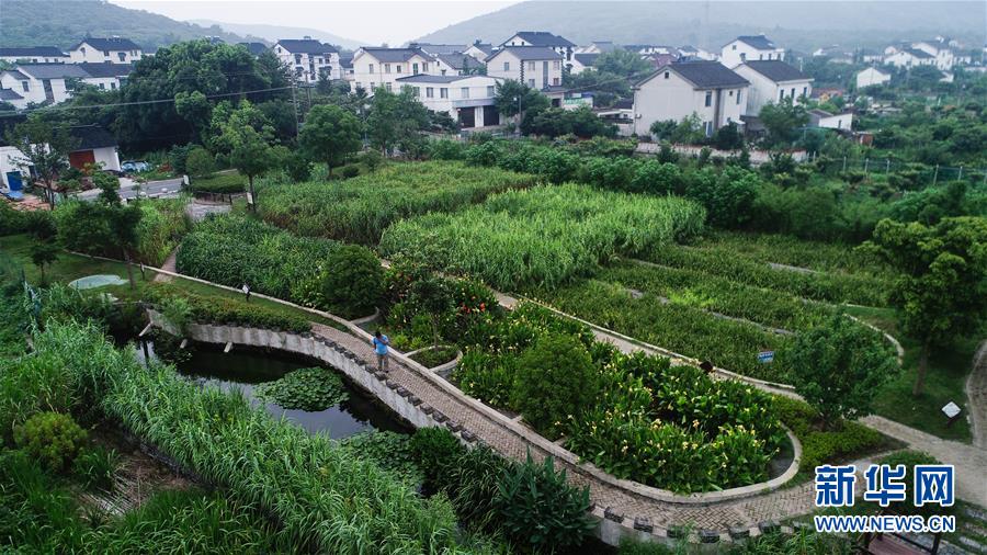 （在習(xí)近平新時代中國特色社會主義思想指引下——新時代新作為新篇章·圖文互動）（1）稀奇！治污濕地成了休閑公園——江蘇蘇州全域推進(jìn)農(nóng)村生活污水治理