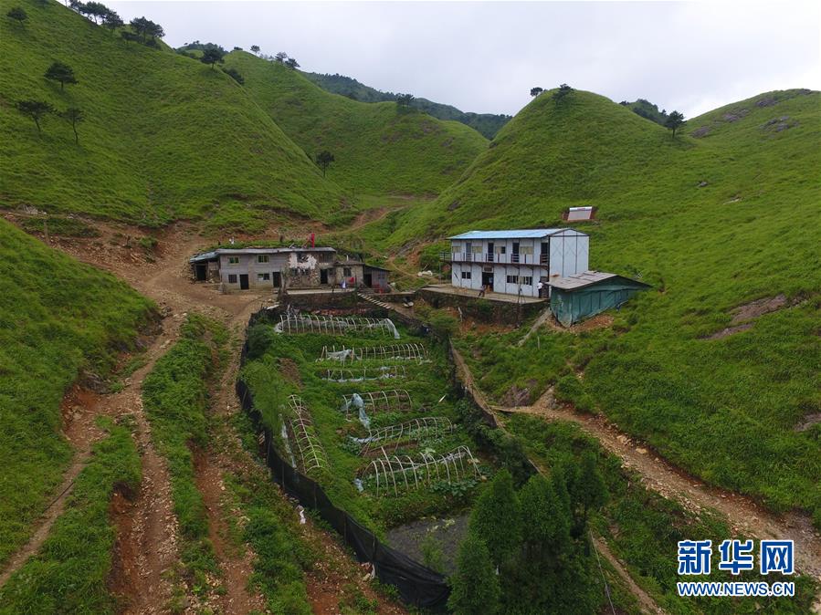 （新華全媒頭條·圖文互動）（3）一個人，一座山——劉真茂的生命守望