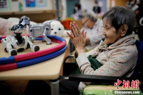 圖為多種類(lèi)型的機(jī)器人在養(yǎng)老院里分擔(dān)了大部分人類(lèi)的陪護(hù)工作，老人們很樂(lè)意與它們進(jìn)行互動(dòng)。