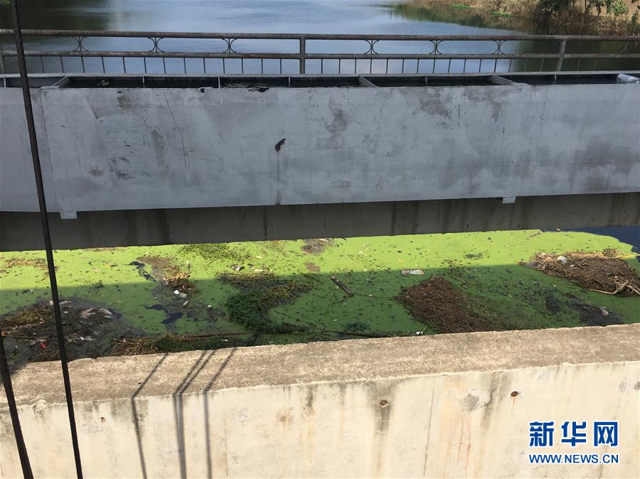 （新華視點(diǎn)·圖文互動(dòng)）（2）上游洪水來(lái)襲下游魚蟹死亡，泄洪為何變泄污？