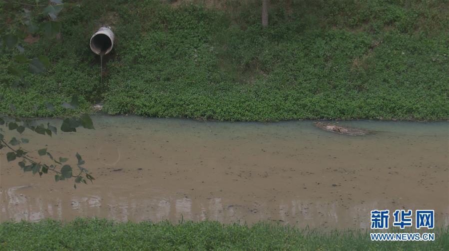 （新華視點(diǎn)·圖文互動(dòng)）（4）上游洪水來(lái)襲下游魚蟹死亡，泄洪為何變泄污？