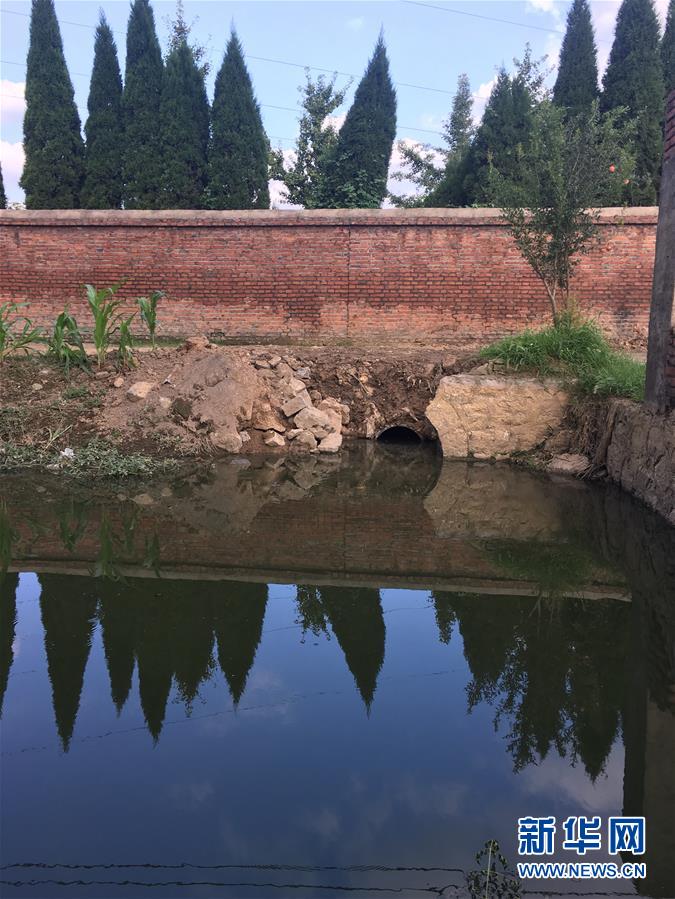 （新華視點(diǎn)·圖文互動(dòng)）（3）上游洪水來(lái)襲下游魚蟹死亡，泄洪為何變泄污？