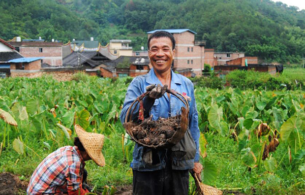 秋收的中國(guó)，你想象不到的美！但更美的是……