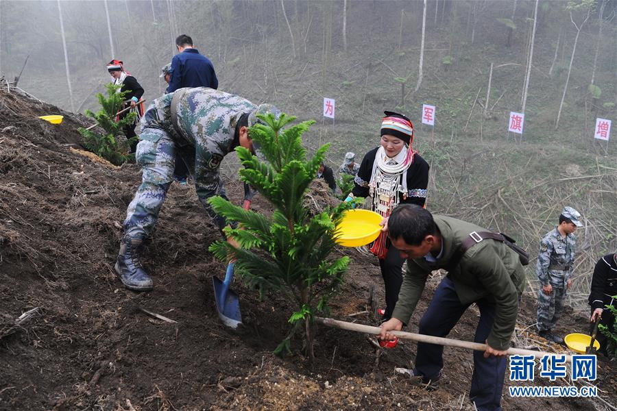 （圖文互動）（6）和平年代，離死神最近的人——南部戰(zhàn)區(qū)陸軍云南掃雷大隊邊境掃雷排爆記事