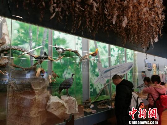 圖為展覽現(xiàn)場?！『h(yuǎn)航 攝