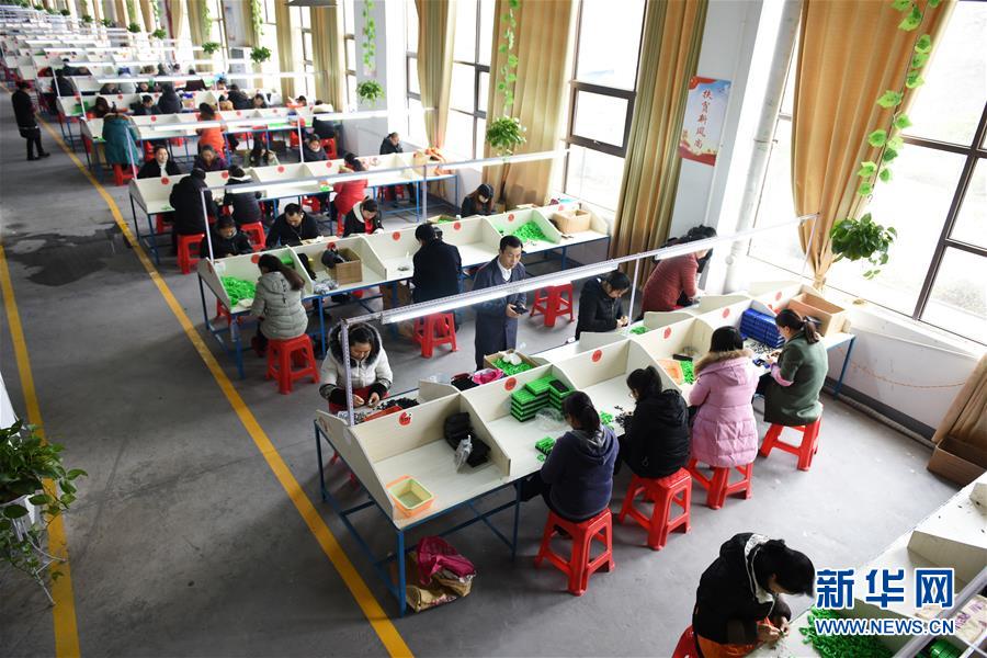 （在習(xí)近平新時代中國特色社會主義思想指引下——新時代新作為新篇章·圖文互動）（5）“搬遷到哪里，服務(wù)就延伸到哪里”——貴州推進(jìn)易地扶貧搬遷“后半篇文章” 