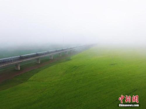 資料圖：動(dòng)車組穿越雨霧中的油菜花海宛若穿越時(shí)空。 楊艷敏 攝