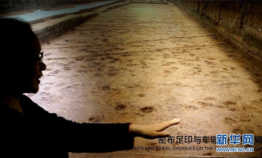 （新華全媒頭條·圖文互動）（6）“若問古今興廢事，請君只看洛陽城”——千年古都“烹制”博物館盛宴