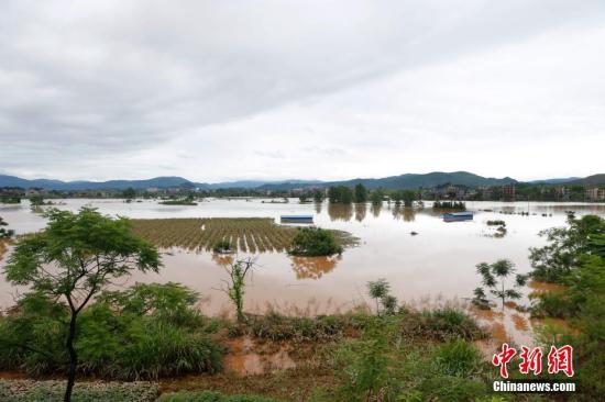 資料圖：湖南省臨武縣武水鎮(zhèn)、南強(qiáng)鎮(zhèn)、汾市鎮(zhèn)、水東鎮(zhèn)、金江鎮(zhèn)等鄉(xiāng)鎮(zhèn)遭遇特大暴雨襲擊，導(dǎo)致大量民房和農(nóng)田被淹。據(jù)不完全統(tǒng)計(jì)，該縣數(shù)千戶民房被淹，數(shù)十萬(wàn)畝農(nóng)田、果園、煙田被淹斷收，直接經(jīng)濟(jì)損失達(dá)數(shù)千萬(wàn)元。災(zāi)情發(fā)生后，當(dāng)?shù)卣跋嚓P(guān)部門(mén)第一時(shí)間奔赴受災(zāi)鄉(xiāng)鎮(zhèn)轉(zhuǎn)移群眾，察看災(zāi)情并積極組織村民排澇自救、發(fā)放救災(zāi)物資、開(kāi)展保險(xiǎn)理賠等工作。目前救災(zāi)工作正在有序進(jìn)行，無(wú)人員傷亡。唐盛歡 攝