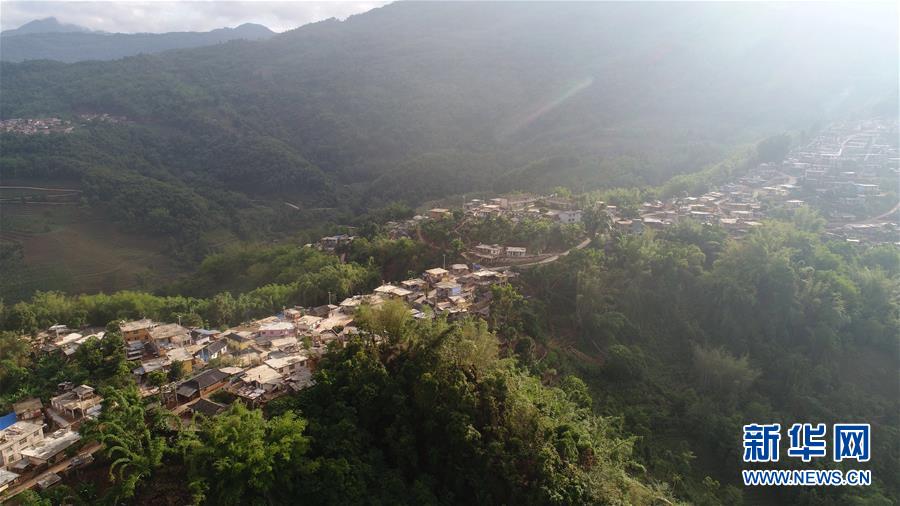 （直過(guò)民族脫貧攻堅(jiān)·圖文互動(dòng)）（1）又見白鷴鳥
