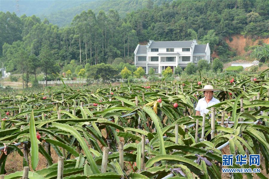 （在習(xí)近平新時(shí)代中國特色社會(huì)主義思想指引下——新時(shí)代新作為新篇章·總書記關(guān)心的百姓身邊事·圖文互動(dòng)）（6）大污染變身“大寶藏”：治理畜禽糞污，他們這樣干！