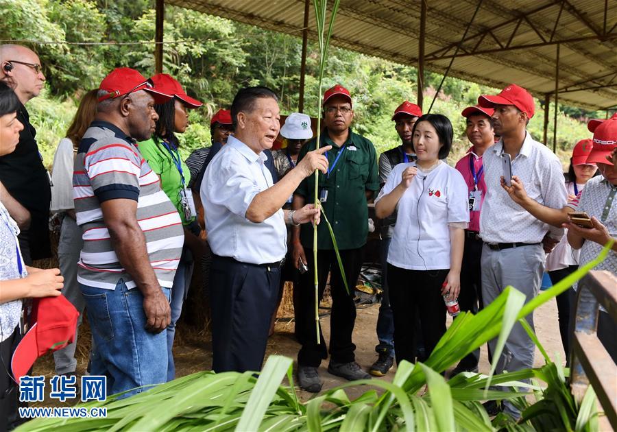 （不忘初心、牢記使命·圖文互動(dòng)）（5）拳拳寸草心 濃濃報(bào)國(guó)情——記“菌草之父”林占熺