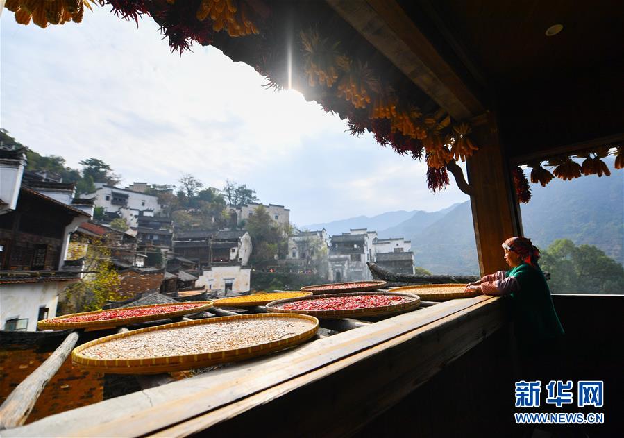 （圖文互動）（5）鄉(xiāng)村攝影師、鄉(xiāng)村“模特”、民宿店主——鄉(xiāng)村旅游推動婺源農(nóng)民生活方式發(fā)生新變化