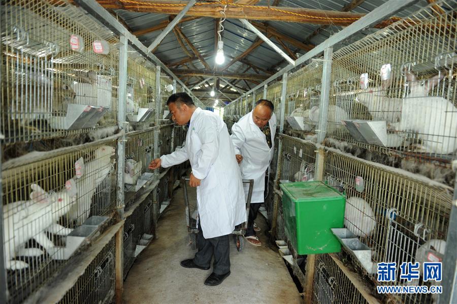 （新華全媒頭條·圖文互動）（4）干部去哪兒了？——貴州干部大規(guī)模下沉脫貧攻堅一線紀(jì)實