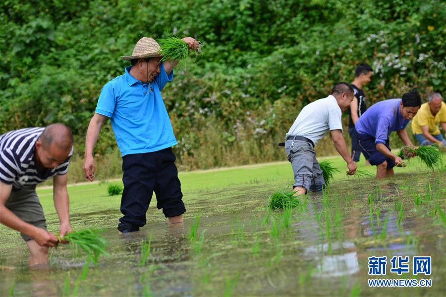 （新華全媒頭條·圖文互動）（8）干部去哪兒了？——貴州干部大規(guī)模下沉脫貧攻堅一線紀(jì)實