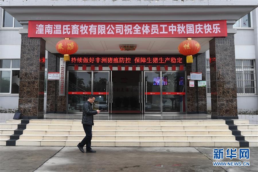 （在習(xí)近平新時(shí)代中國(guó)特色社會(huì)主義思想指引下——新時(shí)代新作為新篇章·總書(shū)記關(guān)切高質(zhì)量發(fā)展·圖文互動(dòng)）（1）穩(wěn)住“一頭豬”、供好“一袋米”、配好“一籃菜