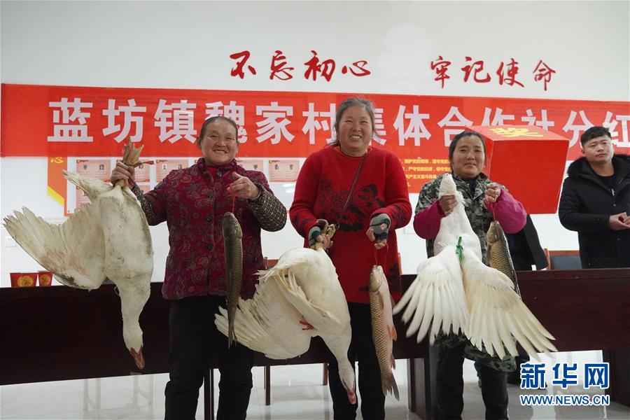（新春走基層·圖文互動(dòng)）（4）“空殼村”分紅啦！