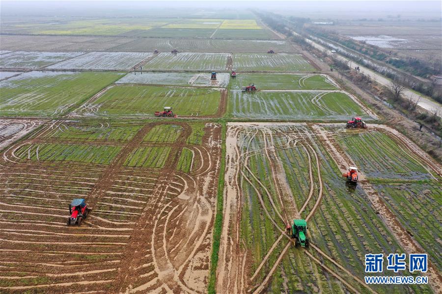 （抓好春耕備耕 穩(wěn)住農(nóng)業(yè)生產(chǎn)·圖文互動(dòng)）（2）智能農(nóng)機(jī)、“訂單”服務(wù)、“云端”種菜——來自江西的春耕“新事”