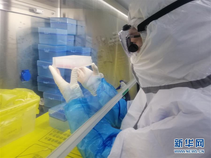 （一線抗疫群英譜·圖文互動）（2）“95后”大學(xué)生郝鶯歌：退掉車票，她選擇直面病毒
