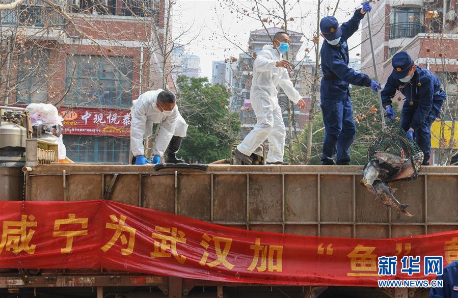 （新華全媒頭條·圖文互動(dòng)）（12）從人民中汲取磅礴力量——習(xí)近平總書記同出席2020年全國(guó)兩會(huì)人大代表、政協(xié)委員共商國(guó)是紀(jì)實(shí)
