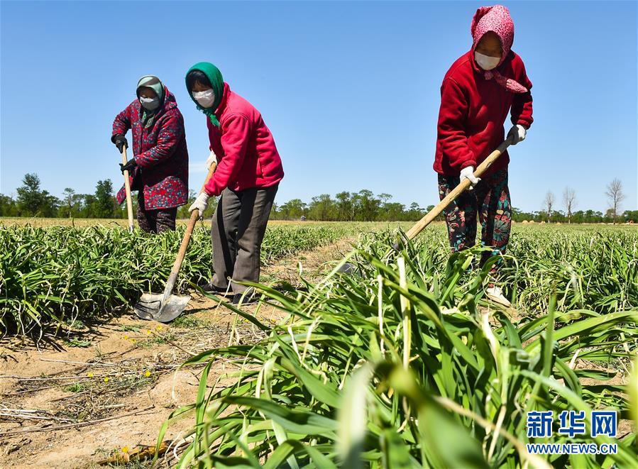 （新華全媒頭條·圖文互動(dòng)）（17）從人民中汲取磅礴力量——習(xí)近平總書記同出席2020年全國(guó)兩會(huì)人大代表、政協(xié)委員共商國(guó)是紀(jì)實(shí)