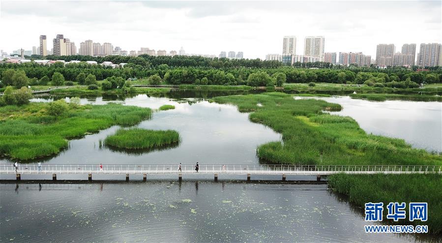 （走向我們的小康生活·圖文互動）（1）水清、地綠、空氣新——最北省份黑龍江繪就生態(tài)治理新畫卷