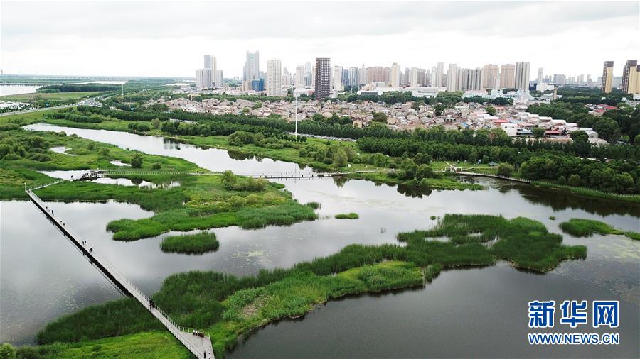 （走向我們的小康生活·圖文互動）（2）水清、地綠、空氣新——最北省份黑龍江繪就生態(tài)治理新畫卷