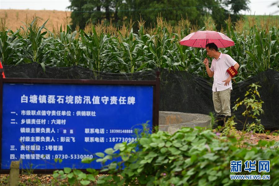 （防汛抗洪·圖文互動(dòng)）（1）“險(xiǎn)情不可怕，可怕的是不能及時(shí)發(fā)現(xiàn)險(xiǎn)情”——洞庭湖巡堤查險(xiǎn)現(xiàn)場(chǎng)直擊