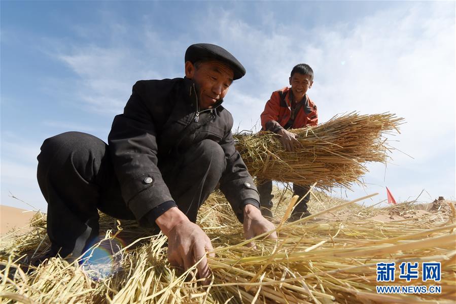 （在習近平新時代中國特色社會主義思想指引下——新時代新作為新篇章·習近平總書記關切事·圖文互動）（5）綠色映底蘊，山水見初心——生態(tài)優(yōu)先、綠色發(fā)展持續(xù)造福群眾美好生活