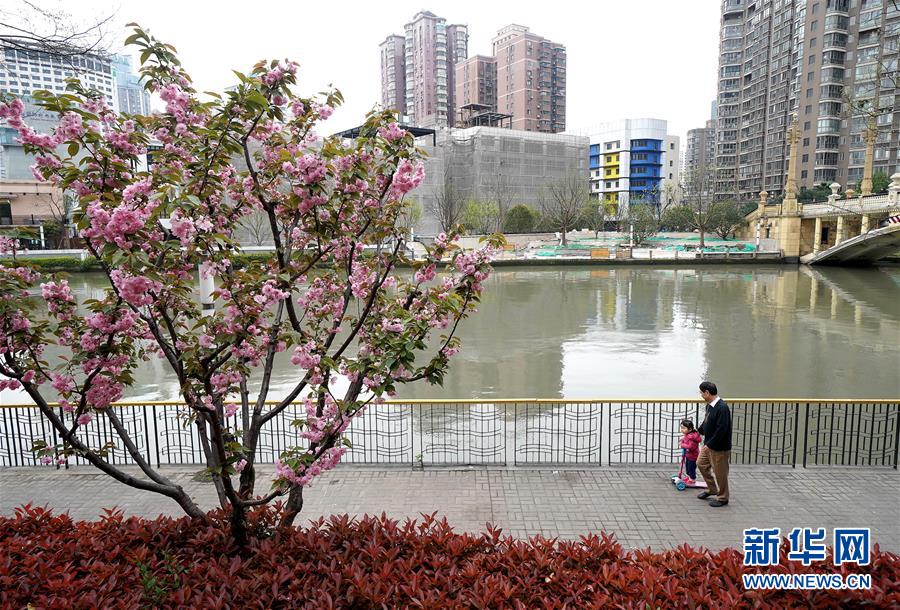 （新華全媒頭條·走向我們的小康生活·圖文互動(dòng)）（12）城市，讓人民生活更美好