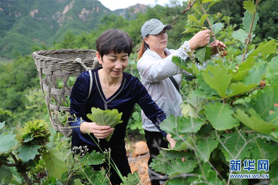 （新華全媒頭條·走向我們的小康生活·圖文互動）（7）長城腳下，小康村串成“珍珠鏈”